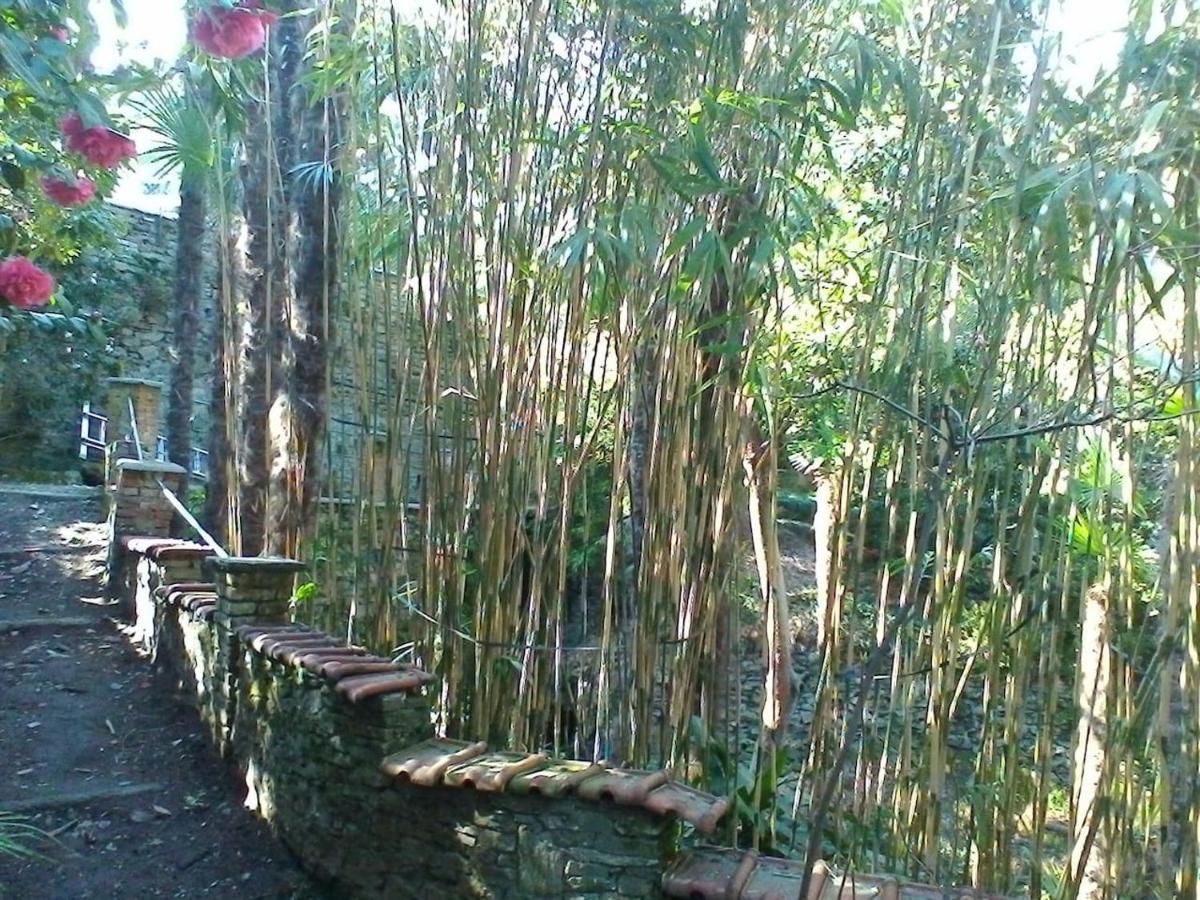 La Camelia D'Oro Oggebio Exterior foto