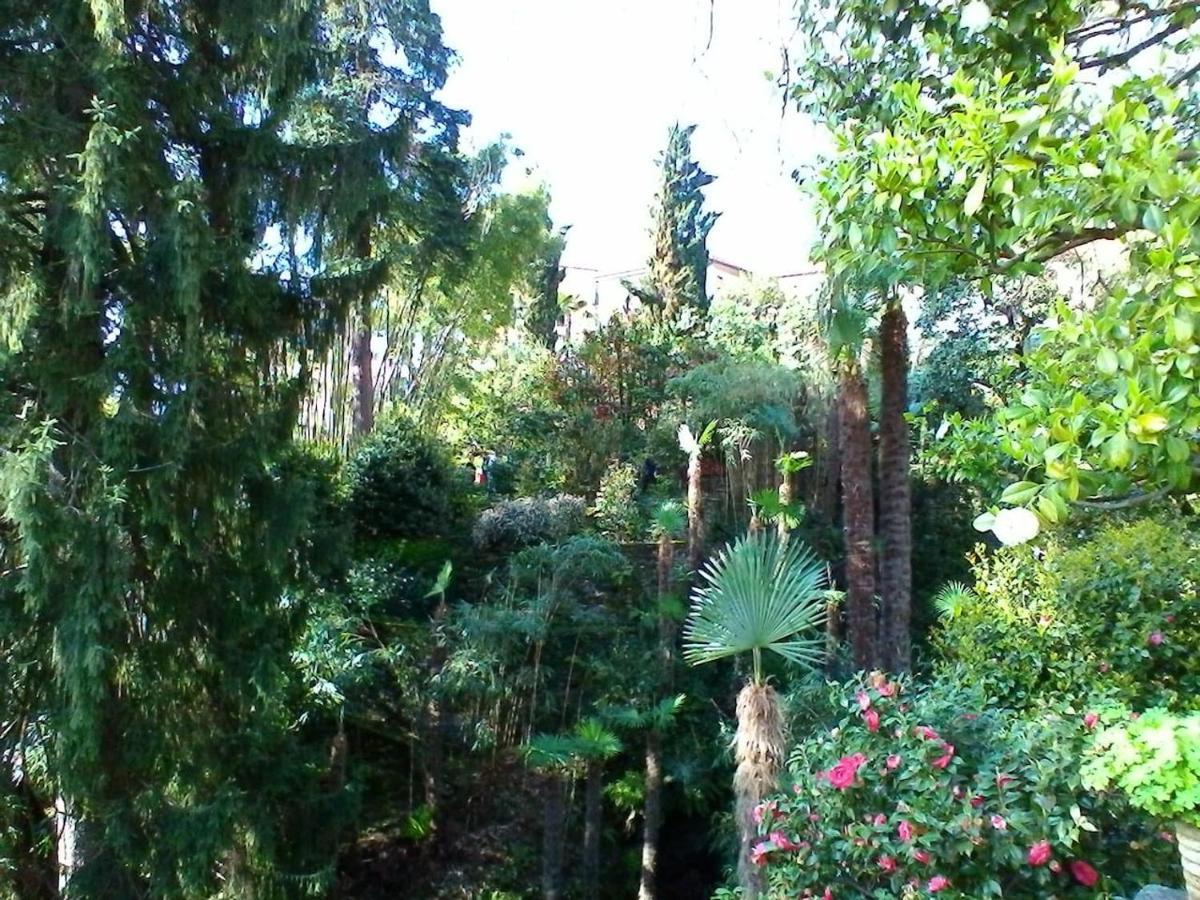 La Camelia D'Oro Oggebio Exterior foto