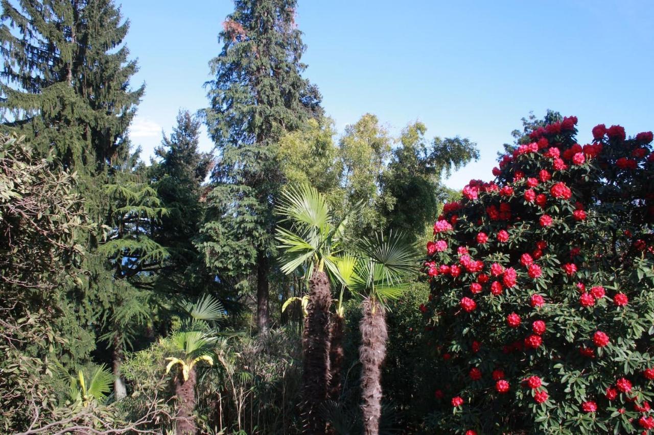 La Camelia D'Oro Oggebio Exterior foto